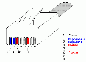    10BASE-T: